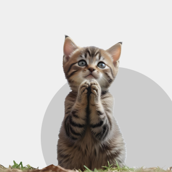 Crowdfunding website practices under scrutiny of the President of UOKiK