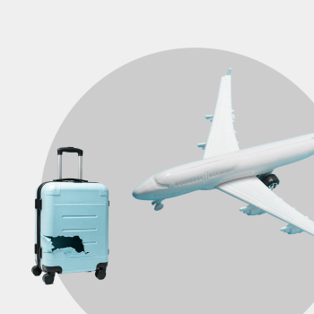 Damaged or delayed baggage? President of UOKiK brings charges against LOT Polish Airlines