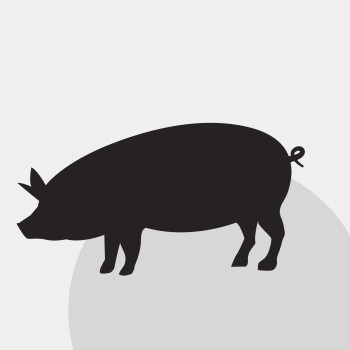 Contractual pig fattening system – two commitment decisions