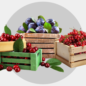 Zmowa przy skupie owoców. Prezes UOKiK nakłada kary